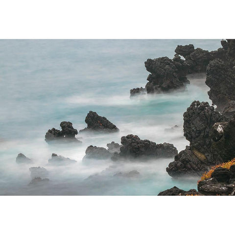 Rocky shoreline of South Plaza Island-Galapagos Islands-Ecuador Gold Ornate Wood Framed Art Print with Double Matting by Jones, Adam