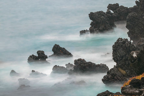 Rocky shoreline of South Plaza Island-Galapagos Islands-Ecuador White Modern Wood Framed Art Print with Double Matting by Jones, Adam
