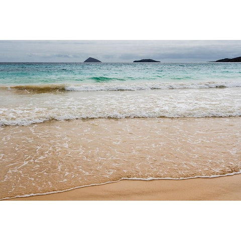 Floreana Island-Galapagos islands-Ecuador Black Modern Wood Framed Art Print by Pitamitz, Sergio