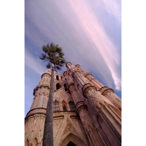 Mexico, The Parroquia Church and Palm Tree Black Modern Wood Framed Art Print by Rotenberg, Nancy