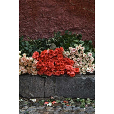 Mexico, San Miguel de Allende, Roses for sale Black Modern Wood Framed Art Print by Rotenberg, Nancy