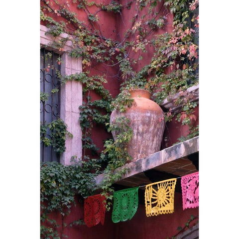 Mexico, San Miguel de Allende, House courtyard Black Modern Wood Framed Art Print with Double Matting by Rotenberg, Nancy