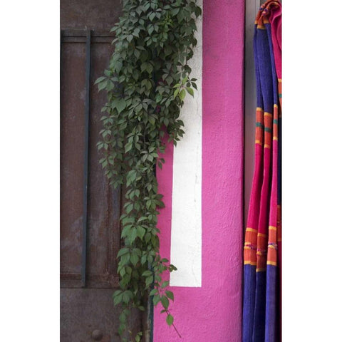 Mexico, Puerto Vallarta Serape hanging by a wall Black Modern Wood Framed Art Print with Double Matting by Ross, Nancy ,  Steve