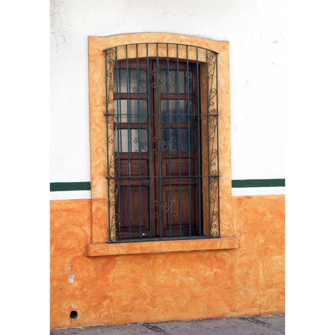 Mexico, Cabo San Lucas Detail of wooden window Gold Ornate Wood Framed Art Print with Double Matting by Ross, Nancy ,  Steve