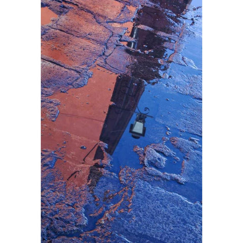 Mexico Street water puddle with lamp reflection Gold Ornate Wood Framed Art Print with Double Matting by Rotenberg, Nancy