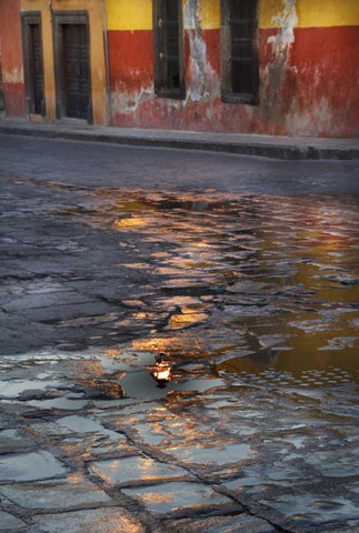 Mexico Cobblestone street with water reflections Black Ornate Wood Framed Art Print with Double Matting by Rotenberg, Nancy