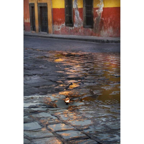 Mexico Cobblestone street with water reflections Black Modern Wood Framed Art Print by Rotenberg, Nancy