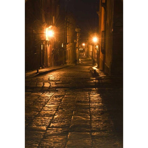 Mexico, San Miguel de Allende Street Lanterns Black Modern Wood Framed Art Print with Double Matting by Rotenberg, Nancy