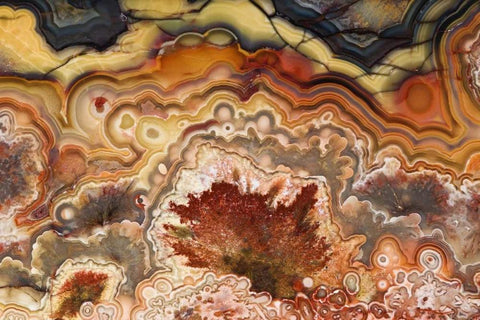 Mexico Close-up of Crazy Lace Agate stone White Modern Wood Framed Art Print with Double Matting by Kirkland, Dennis