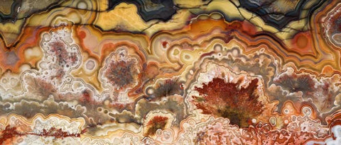 Mexico Close-up of Crazy Lace Agate stone Black Ornate Wood Framed Art Print with Double Matting by Kirkland, Dennis