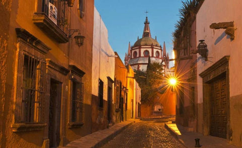 San Miguel de Allende, Mexico Black Ornate Wood Framed Art Print with Double Matting by Rotenberg, Nancy