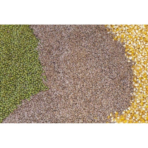 Mexico, Tecate Display of grains Black Modern Wood Framed Art Print by Paulson, Don