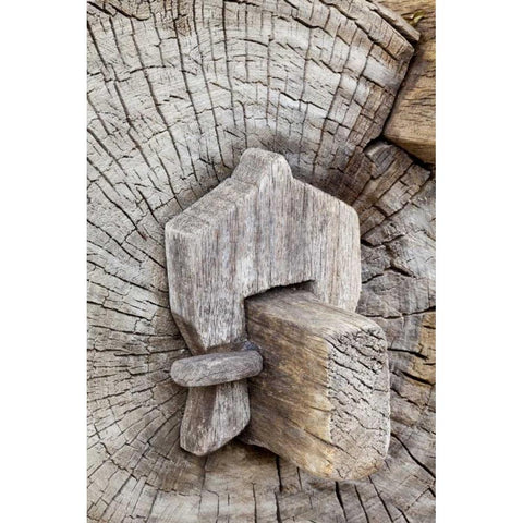 Mexico, Tecate Wooden bench at Rancho La Purerta Black Modern Wood Framed Art Print by Paulson, Don