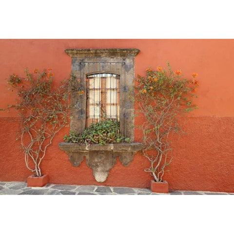 Mexico, San Miguel de Allende Window and plants Gold Ornate Wood Framed Art Print with Double Matting by Paulson, Don
