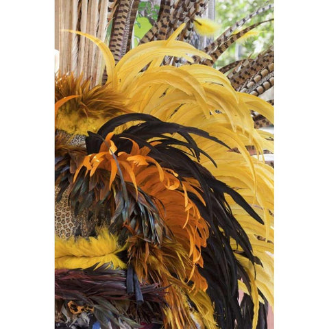 Mexico, San Miguel de Allende Aztec headdress Black Modern Wood Framed Art Print by Paulson, Don