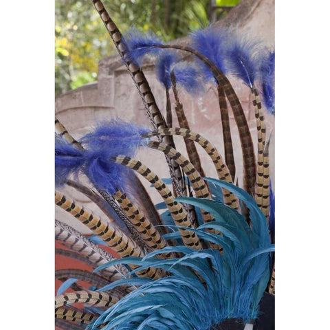 Mexico, San Miguel de Allende Aztec headdress Black Modern Wood Framed Art Print by Paulson, Don