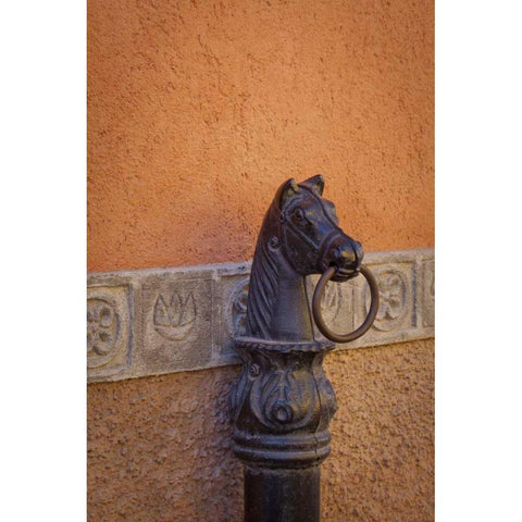 Mexico Horse ring, Guanajuato, Mexico Gold Ornate Wood Framed Art Print with Double Matting by Paulson, Don