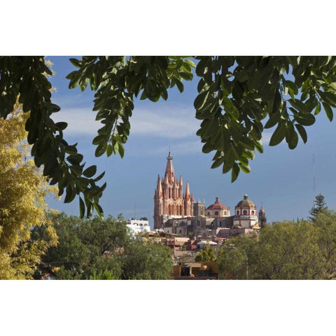 Mexico La Parroquia cathedral Black Modern Wood Framed Art Print by Paulson, Don