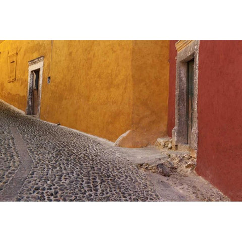 Mexico Painted buildings on cobblestone street Black Modern Wood Framed Art Print by Paulson, Don
