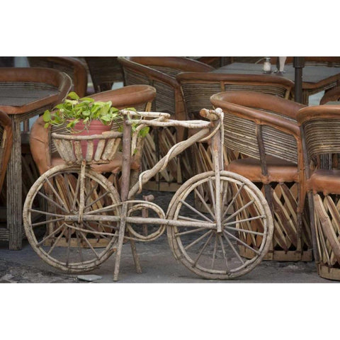 Mexico, Guanajuato Bicycle with potted plant Black Modern Wood Framed Art Print by Paulson, Don