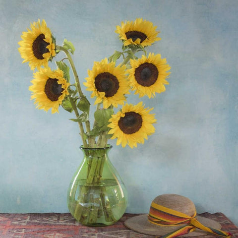 Mexico Sunflowers in vase on table Black Modern Wood Framed Art Print with Double Matting by Paulson, Don