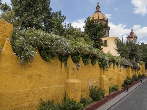Mexico Yellow wall outside church Black Ornate Wood Framed Art Print with Double Matting by Paulson, Don