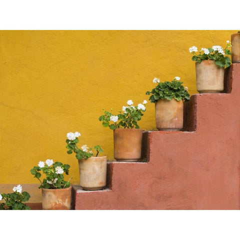 Mexico Potted flowers on staircase Gold Ornate Wood Framed Art Print with Double Matting by Paulson, Don
