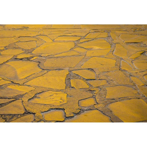 Mexico Morning sun on cobblestone street White Modern Wood Framed Art Print by Paulson, Don