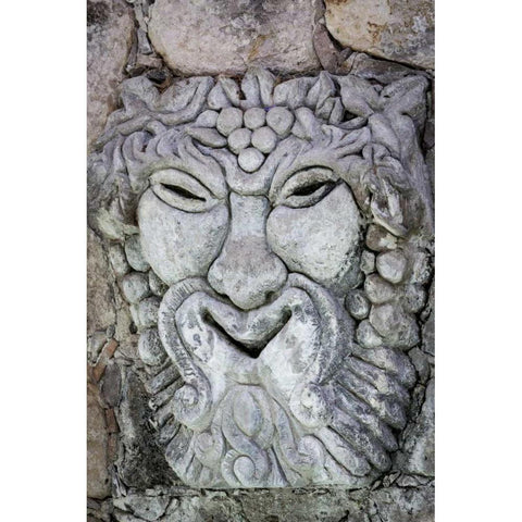 Mexico Detail of lion sculpture Black Modern Wood Framed Art Print by Paulson, Don
