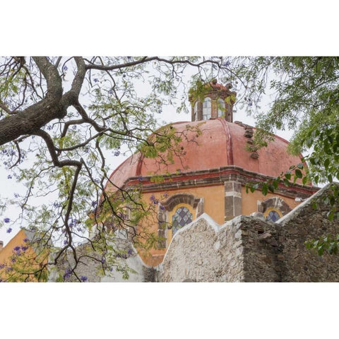 Mexico View of San Juan de Dios church Black Modern Wood Framed Art Print by Paulson, Don