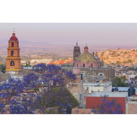 Mexico, San Miguel de Allende Jacaranda and city Black Modern Wood Framed Art Print by Paulson, Don