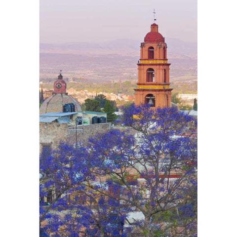 Mexico, San Miguel de Allende Jacaranda and city White Modern Wood Framed Art Print by Paulson, Don
