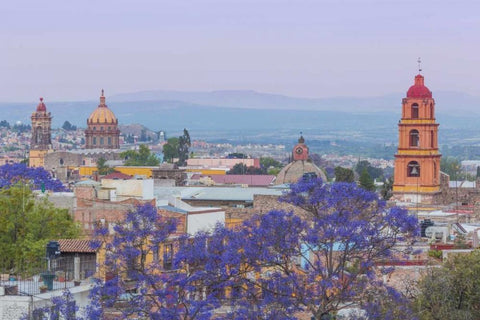 Mexico, San Miguel de Allende Jacaranda and city Black Ornate Wood Framed Art Print with Double Matting by Paulson, Don