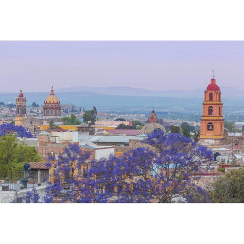 Mexico, San Miguel de Allende Jacaranda and city White Modern Wood Framed Art Print by Paulson, Don