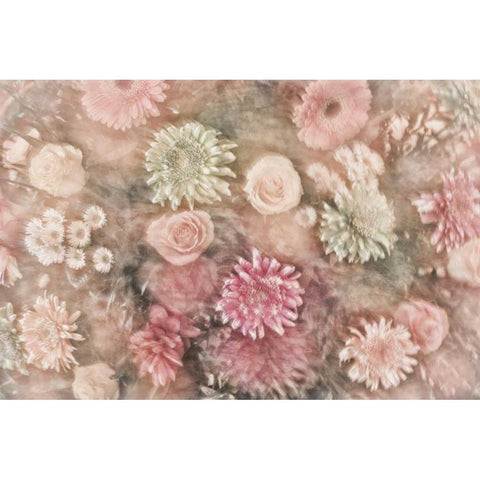 Mexico Abstract of a flower arrangement Gold Ornate Wood Framed Art Print with Double Matting by Paulson, Don