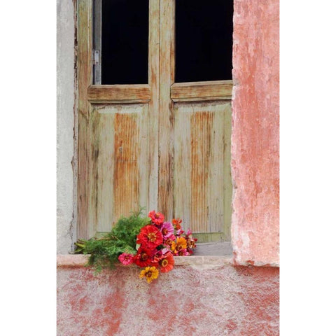 Mexico Zinnias outside window frame Gold Ornate Wood Framed Art Print with Double Matting by Rotenberg, Nancy