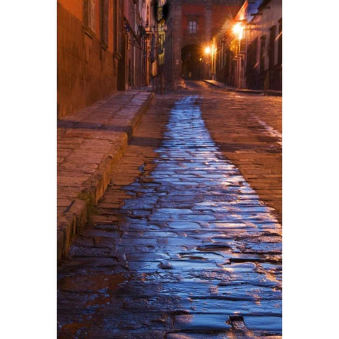 Mexico Lanterns reflect on cobblestone street Gold Ornate Wood Framed Art Print with Double Matting by Rotenberg, Nancy