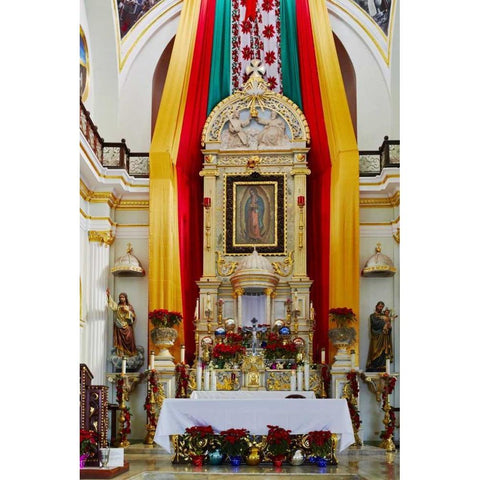 Mexico, Jalisco Our Lady of Guadalupe church Gold Ornate Wood Framed Art Print with Double Matting by Ross, Steve