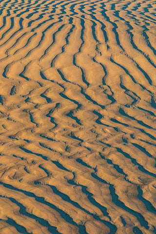 Guerrero Negro- Mulege- Baja California Sur- Mexico. Sand dunes at sunset along the western coast. White Modern Wood Framed Art Print with Double Matting by Wilson, Emily M.