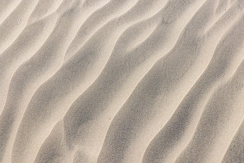 Guerrero Negro- Mulege- Baja California Sur- Mexico. Sand dunes along the western coast. White Modern Wood Framed Art Print with Double Matting by Wilson, Emily M.