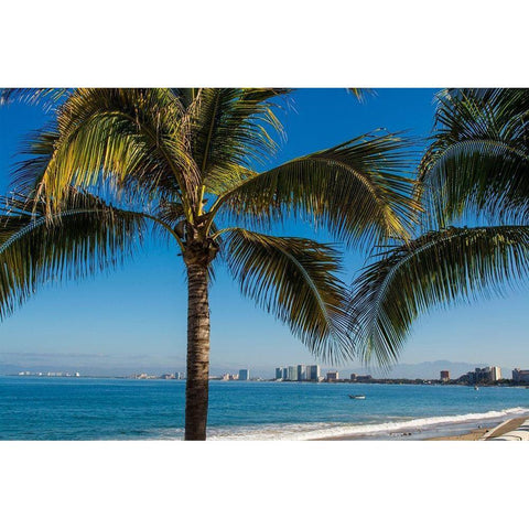 Playa Los Muertos beach-Puerto Vallarta-Jalisco-Mexico Black Modern Wood Framed Art Print by DeFreitas, Michael