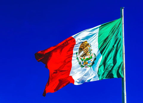 Colorful Mexican flag-San Jose del Cabo-Mexico Black Ornate Wood Framed Art Print with Double Matting by Perry, William