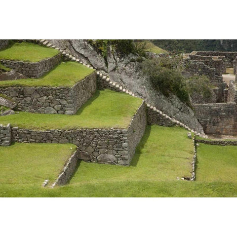 Agricultural terraces, Machu Picchu, Peru Black Modern Wood Framed Art Print by Kaveney, Wendy