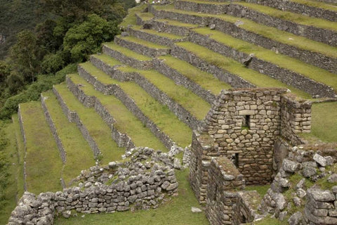 Peru, Machu Picchu Agricultural terraces Black Ornate Wood Framed Art Print with Double Matting by Kaveney, Wendy