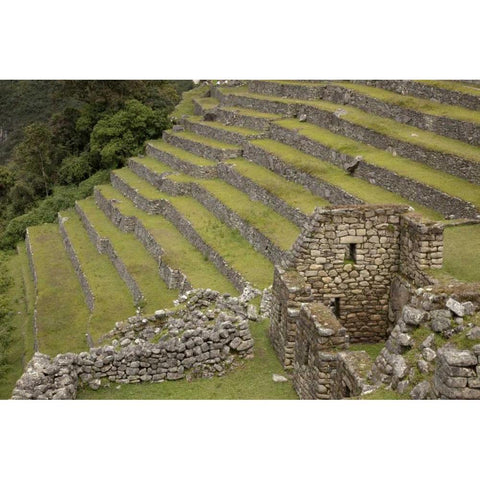 Peru, Machu Picchu Agricultural terraces Black Modern Wood Framed Art Print by Kaveney, Wendy