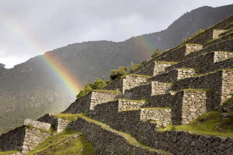 Peru, Machu Picchu Rainbows over the terraces Black Ornate Wood Framed Art Print with Double Matting by Kaveney, Wendy
