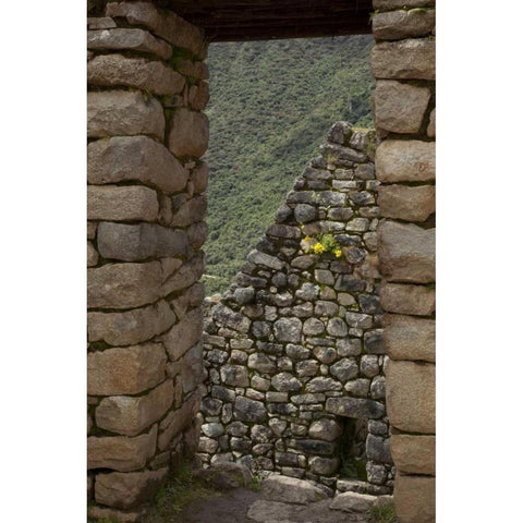 Peru, Machu Picchu Looking though window ruins Black Modern Wood Framed Art Print by Kaveney, Wendy