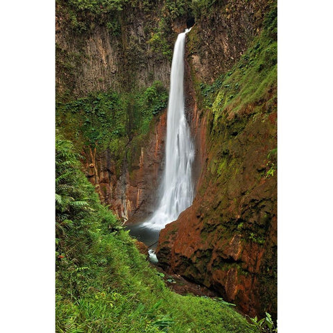 Catarata Del Toro Waterfall-in the mountains of Bajos del Toro Amarillo-Sarchi-Costa Rica Black Modern Wood Framed Art Print with Double Matting by Jones, Adam