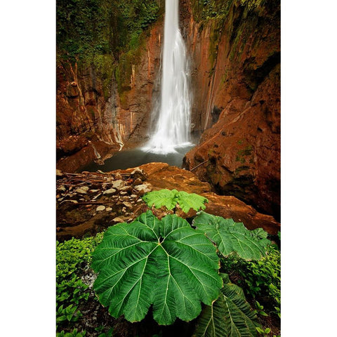 Catarata Del Toro Waterfall-in the mountains of Bajos del Toro Amarillo-Sarchi-Costa Rica Gold Ornate Wood Framed Art Print with Double Matting by Jones, Adam