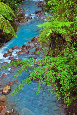 Small stream or creek-Costa Rica White Modern Wood Framed Art Print with Double Matting by Jones, Adam